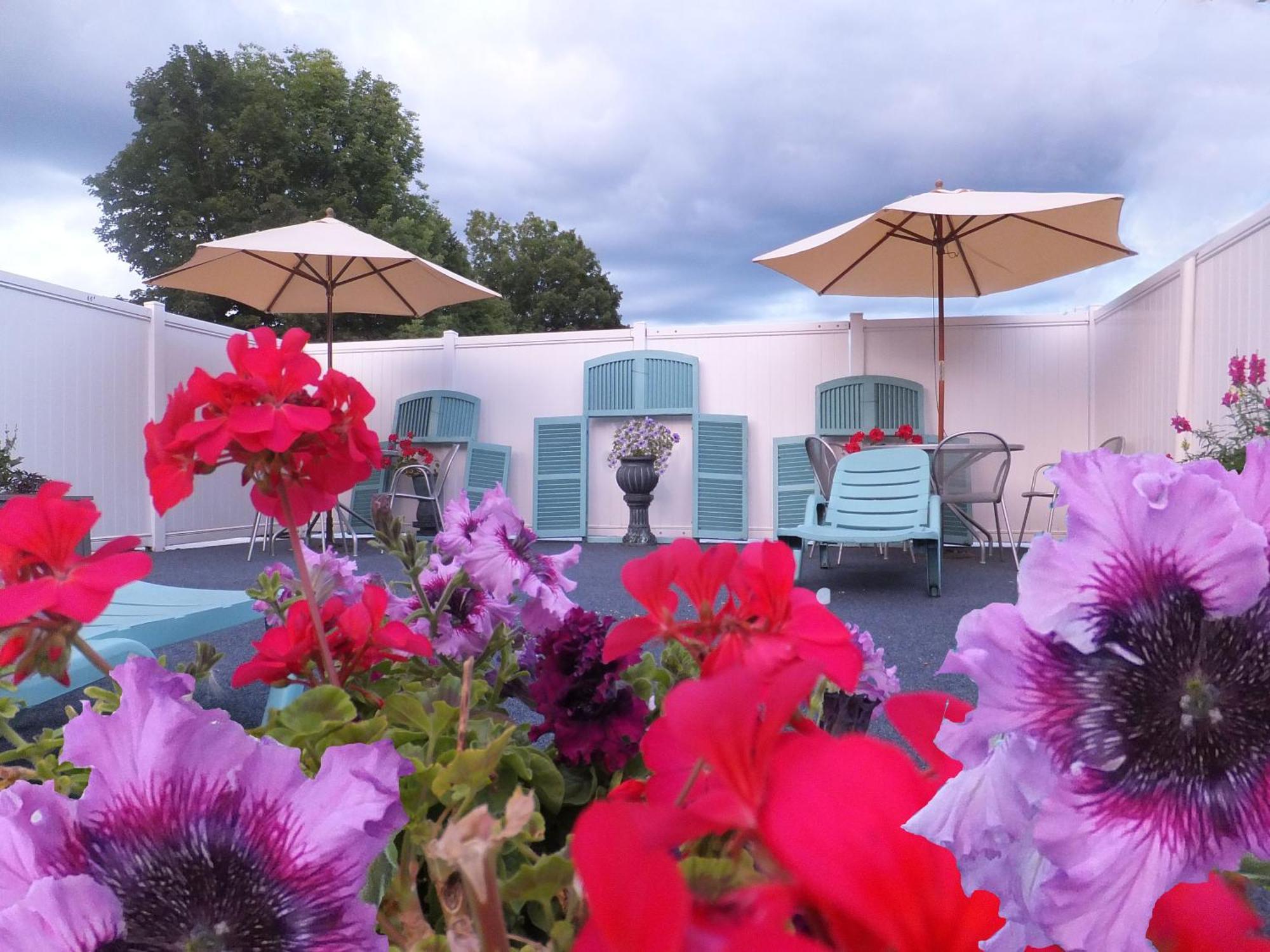 Windsor Motel Lake George Kültér fotó